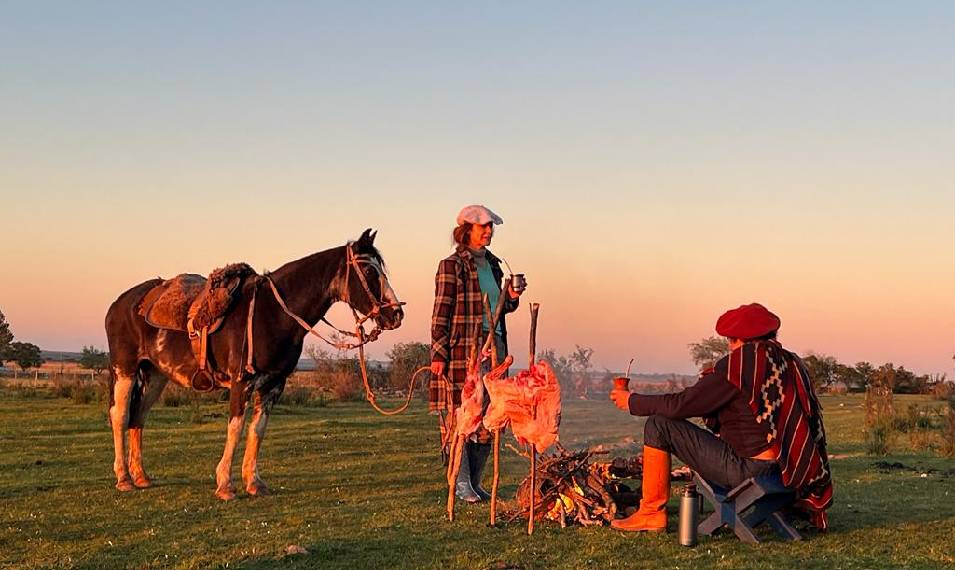 autoconhecimento atraves de cavalo cavalos