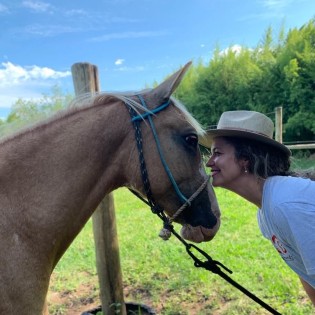 Autoconhecimento através dos cavalos